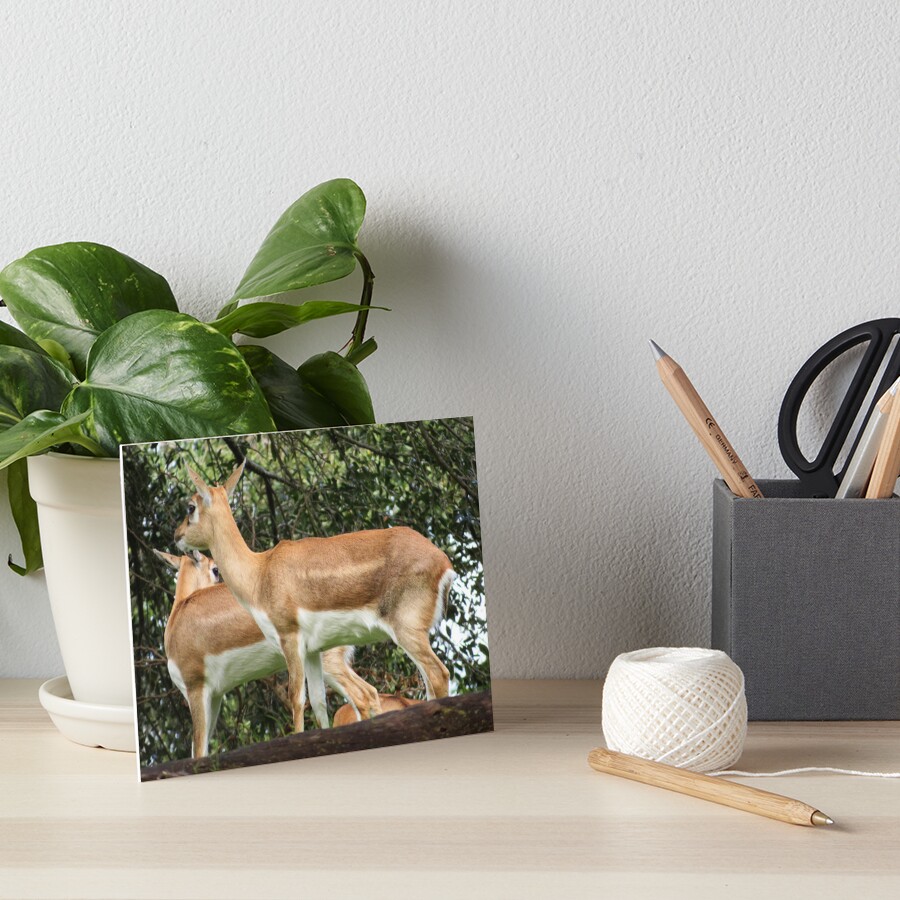 Item preview, Art Board Print designed and sold by ShutterbugBttns.