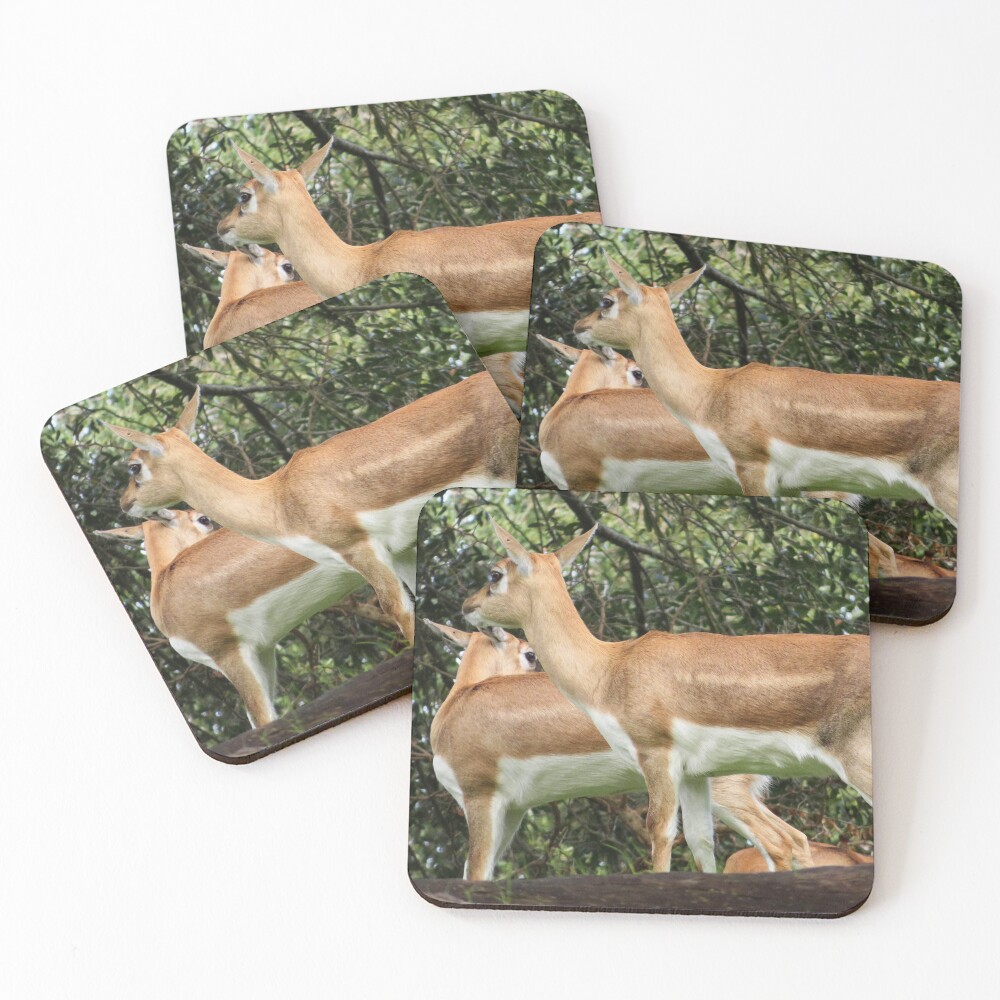Item preview, Coasters (Set of 4) designed and sold by ShutterbugBttns.