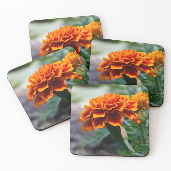 Item preview, Orange Delight designed and sold by Tim Dusenberry.
