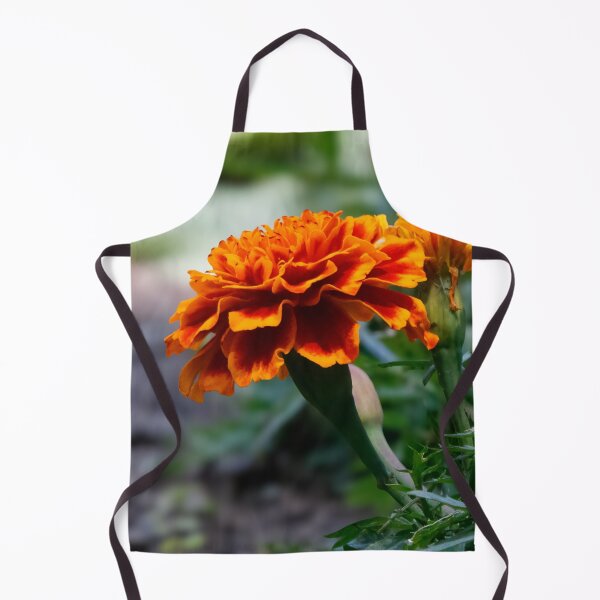 Item preview, Orange Delight designed and sold by Tim Dusenberry.