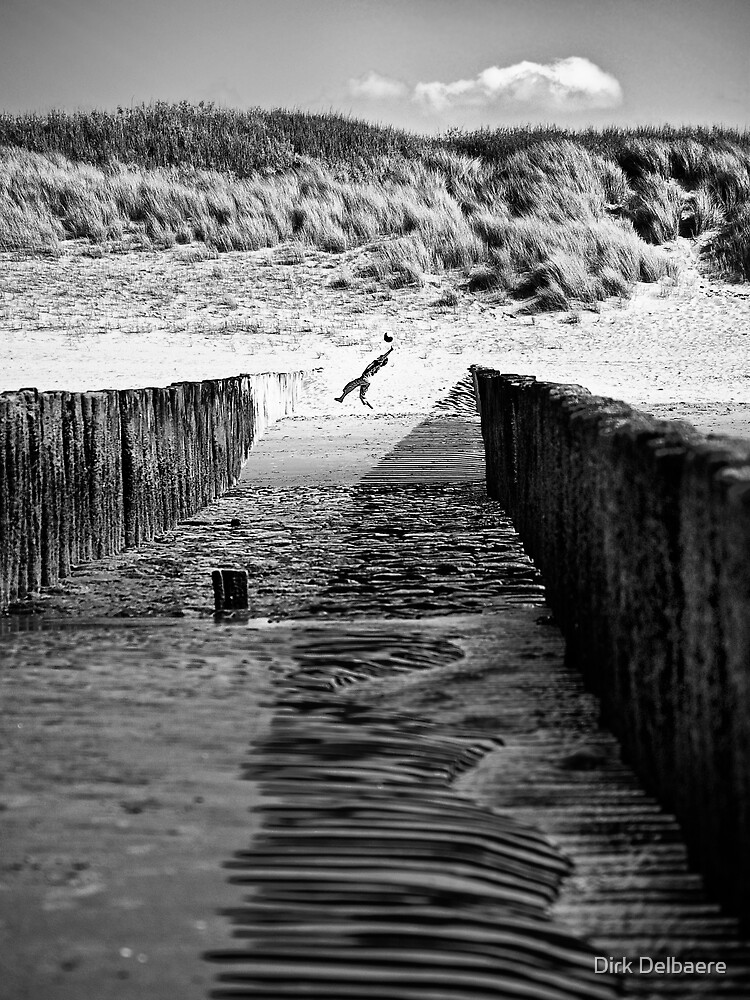 Catch by Delbaere