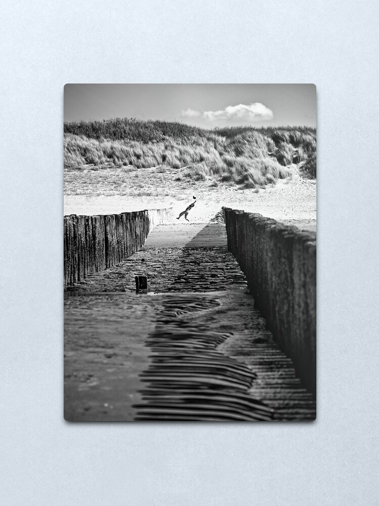 Alternate view of Catch Metal Print