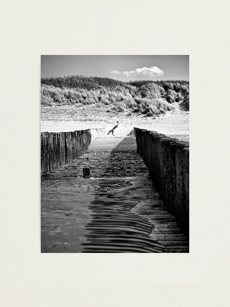 Alternate view of Catch Photographic Print