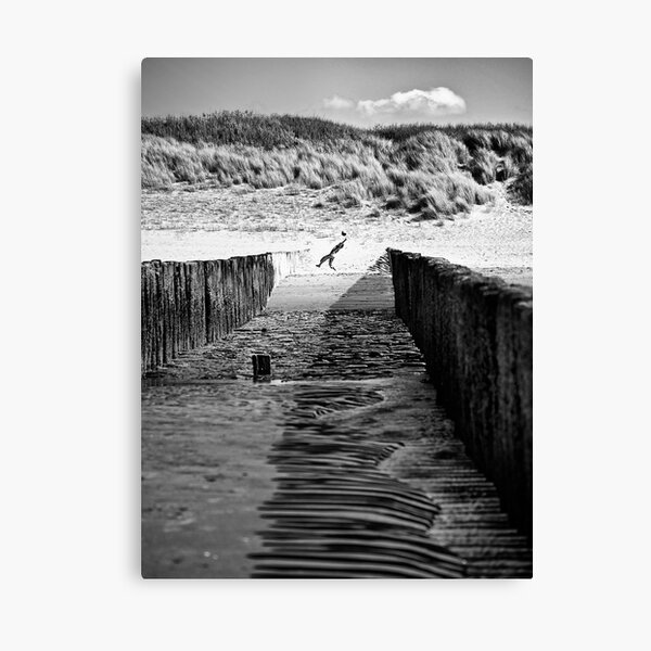Catch Canvas Print