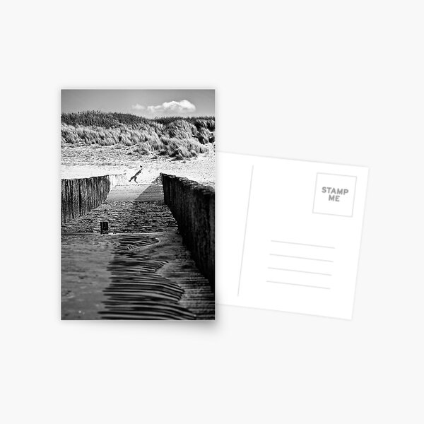 Catch Postcard