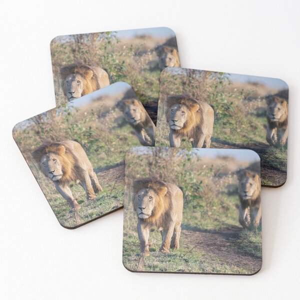 Item preview, Two Lions on a Mission Masai Mara Kenya designed and sold by PhotoArt by Joan Carroll.