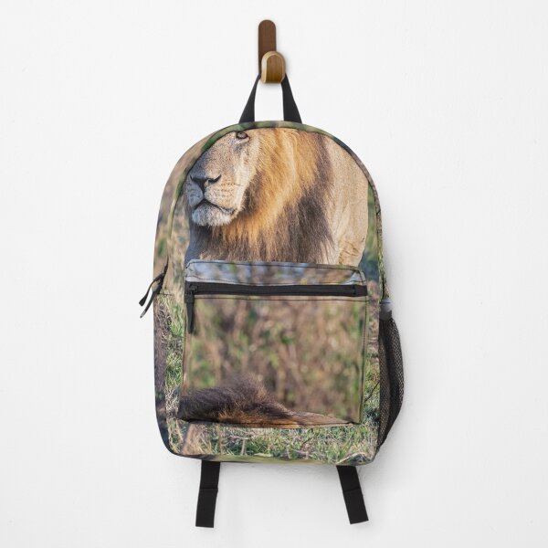 Item preview, Two Lions on a Mission Masai Mara Kenya designed and sold by PhotoArt by Joan Carroll.