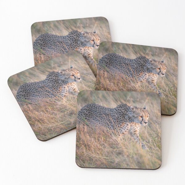 Item preview, Cheetah on the Prowl Masai Mara Kenya designed and sold by PhotoArt by Joan Carroll.