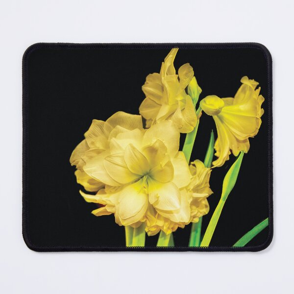Item preview, Yellow Amaryllis designed and sold by Kay Brewer.