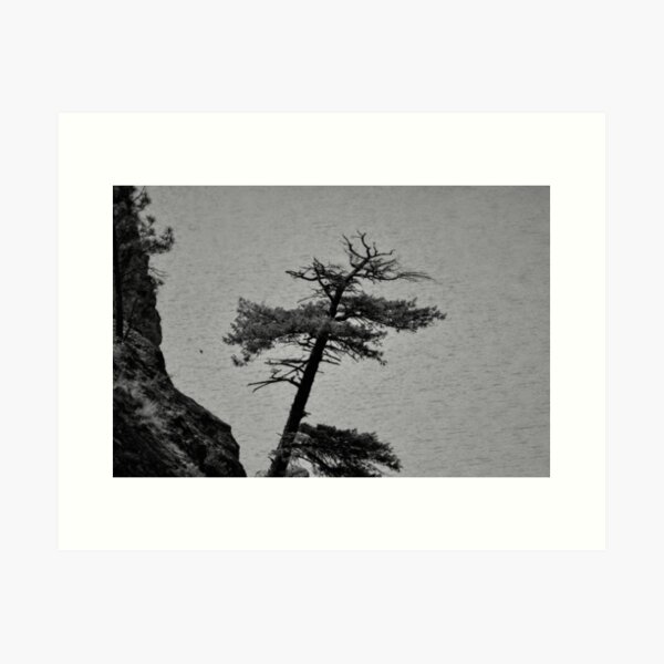 Item preview, Monochrome photo of tree above lake  designed and sold by Cblifeisgood.