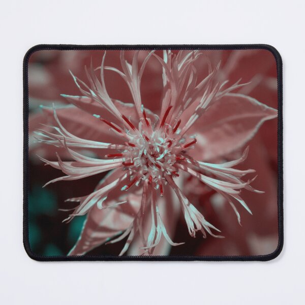 Item preview, Infrared photo of close up of Cornflower  designed and sold by Cblifeisgood.
