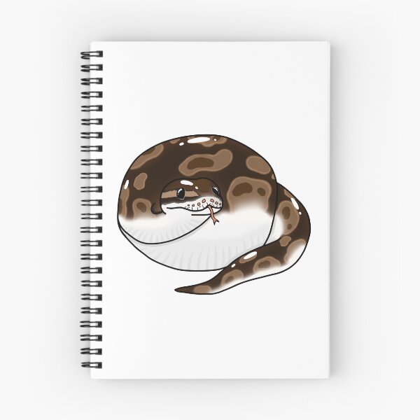 Aperçu de l'œuvre Python royal trapu créée et vendue par CritterStudio.