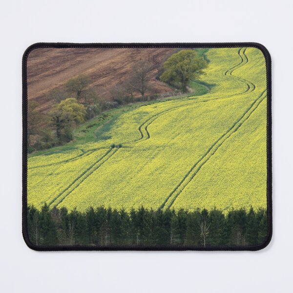 Item preview, Rapeseed Field designed and sold by Rachel J Bowler.