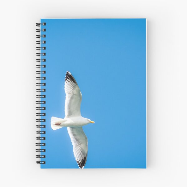 Item preview, Seagull Soars Across A Clear Blue Sky designed and sold by Debra Martz.