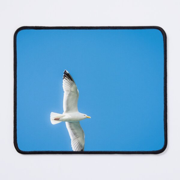 Item preview, Seagull Soars Across A Clear Blue Sky designed and sold by Debra Martz.