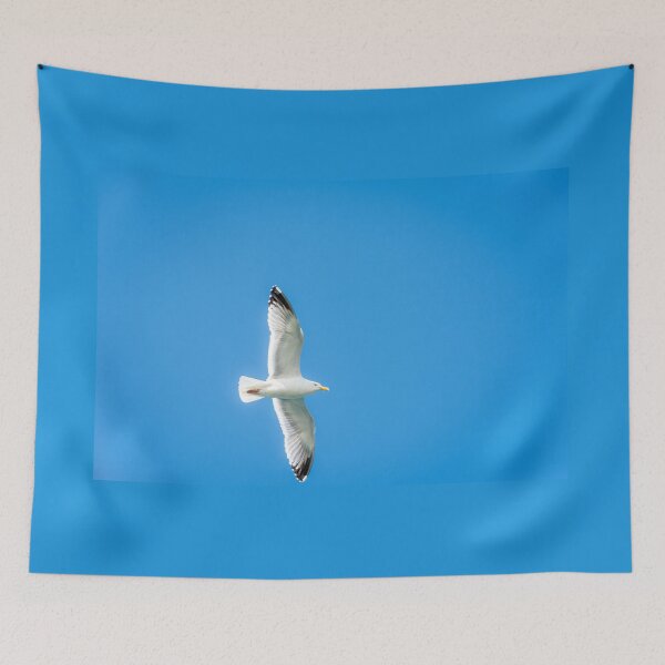 Item preview, Seagull Soars Across A Clear Blue Sky designed and sold by Debra Martz.