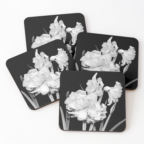Item preview, Amaryllis in Black and White designed and sold by Kay Brewer.