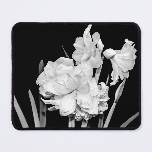 Item preview, Amaryllis in Black and White designed and sold by Kay Brewer.