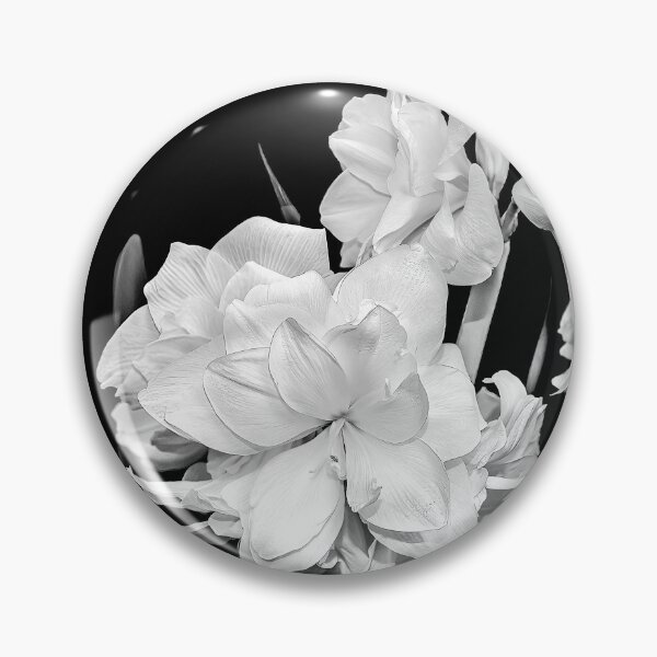 Item preview, Amaryllis in Black and White designed and sold by Kay Brewer.