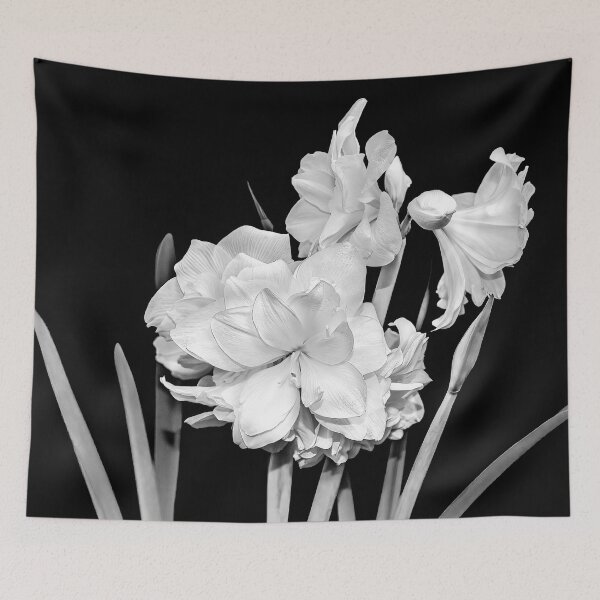 Item preview, Amaryllis in Black and White designed and sold by Kay Brewer.