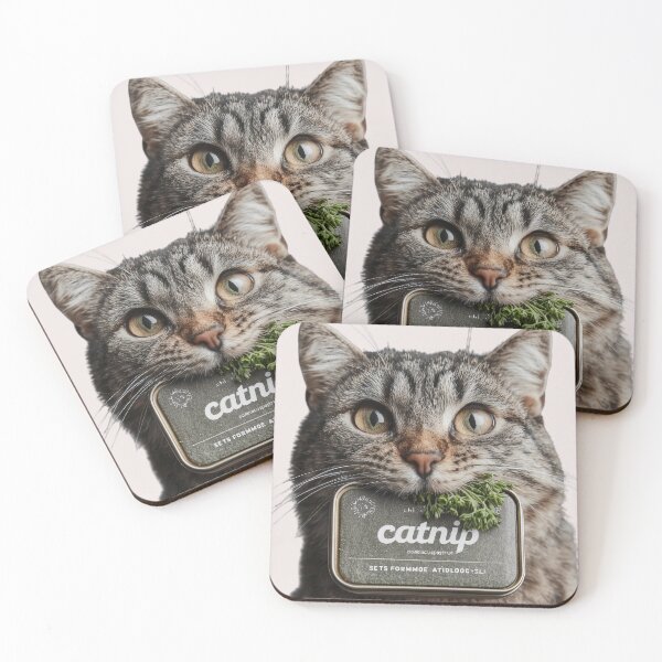 Item preview, Catnip addict designed and sold by Brendon987.