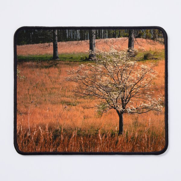 Item preview, Dogwood In The Pasture designed and sold by Jim Love.