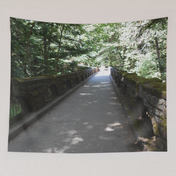 Item preview, Woodland Bridge Wrapped in Moss – PNW Scene designed and sold by starcraft542.