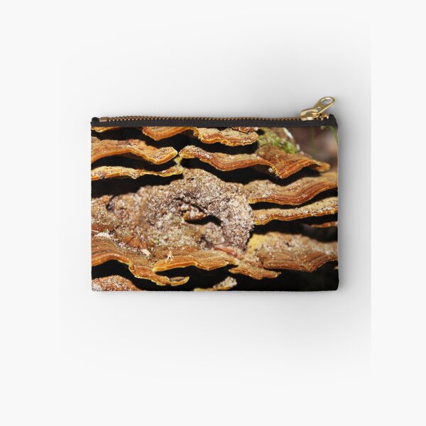 Item preview, Iluka Rainforest Walk (3) designed and sold by myraj.