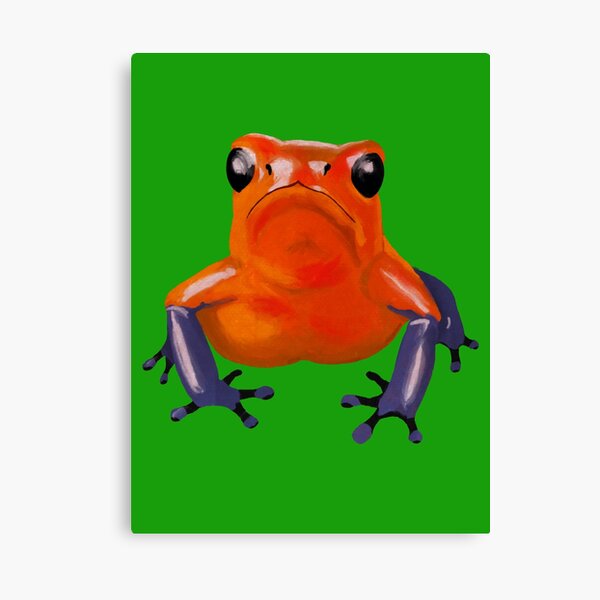 Aperçu de l'œuvre Grenouille venimeuse à la fraise créée et vendue par DoodleSnake58.