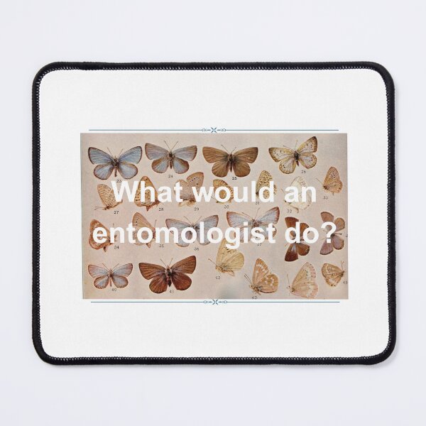Item preview, What Would An Entomologist Do? designed and sold by Oddly Enchanted.
