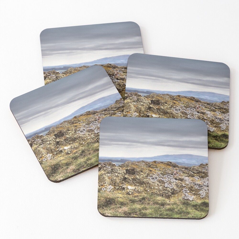 Item preview, Coasters (Set of 4) designed and sold by RachelJBowler.