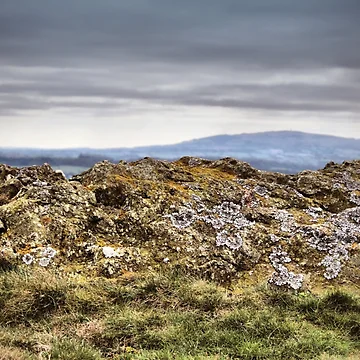 Artwork thumbnail, On the Rocks by Rachel J Bowler