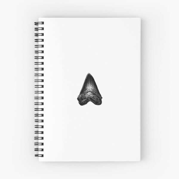 Item preview, Megalodon Shark Tooth Fossil designed and sold by DaDoodledrawing.