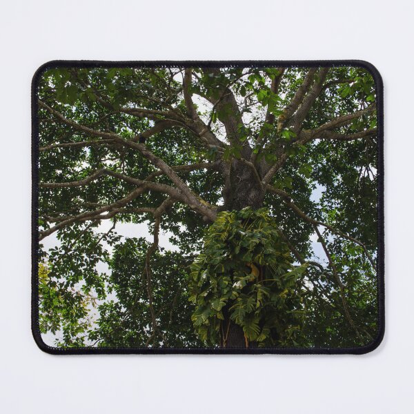 Item preview, Jungle Pothos designed and sold by amymariko.