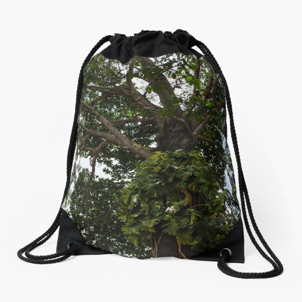 Vista previa del artículo con la obra «Pothos de la selva», diseñado y vendido por amymariko.