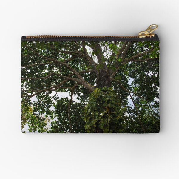 Item preview, Jungle Pothos designed and sold by amymariko.
