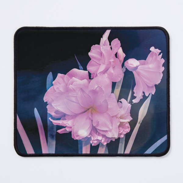 Item preview, Bubbly Amaryllis designed and sold by Kay Brewer.
