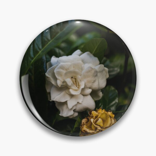 Item preview, Orbit designed and sold by IdleImages.