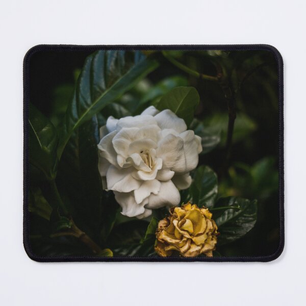 Item preview, Orbit designed and sold by IdleImages.