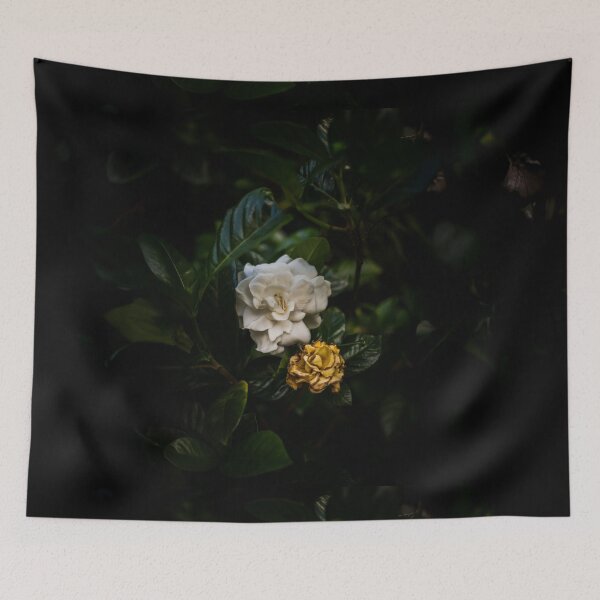 Item preview, Orbit designed and sold by IdleImages.