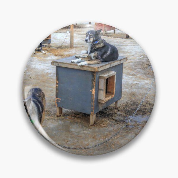 Item preview, Susitna dog designed and sold by zumi.
