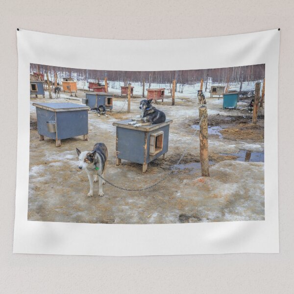 Item preview, Susitna dog designed and sold by zumi.