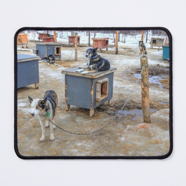 Item preview, Susitna dog designed and sold by zumi.