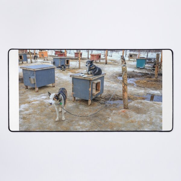 Item preview, Susitna dog designed and sold by zumi.