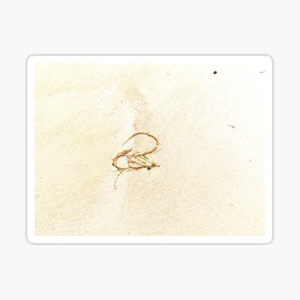 Item preview, Seaweed designed and sold by ART22.