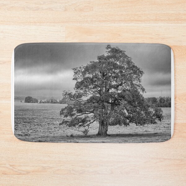 Item preview, A Tree in the Atherton Tablelands designed and sold by OzCamera.