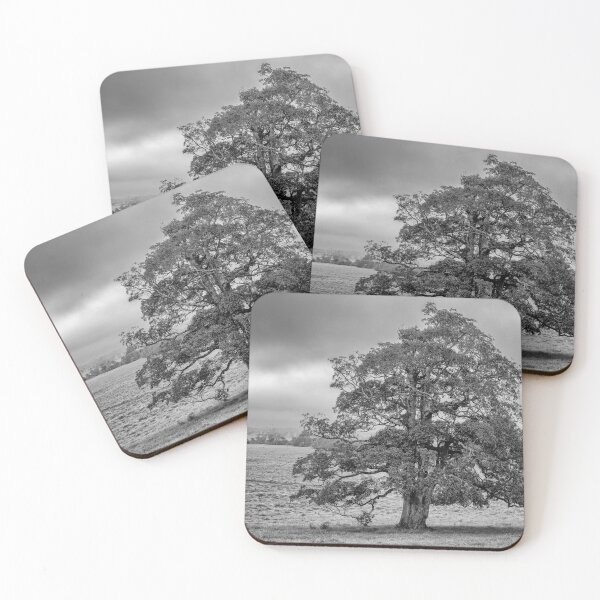 Item preview, A Tree in the Atherton Tablelands designed and sold by OzCamera.