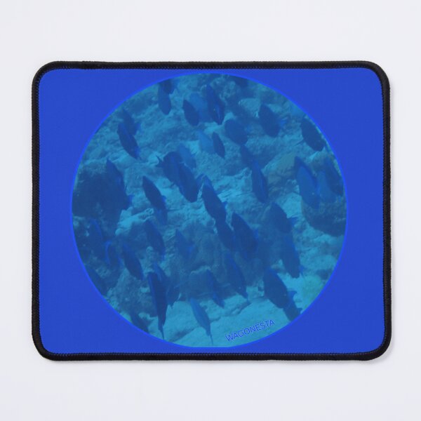 Item preview, Underwater - Blue Tang in Bonaire by Wagonesta designed and sold by Wagonesta.