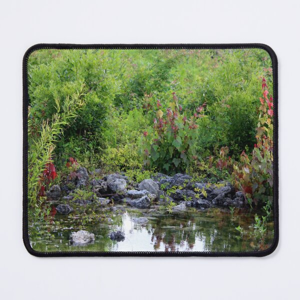 Item preview, Small Pond Scene designed and sold by Cynthia48.