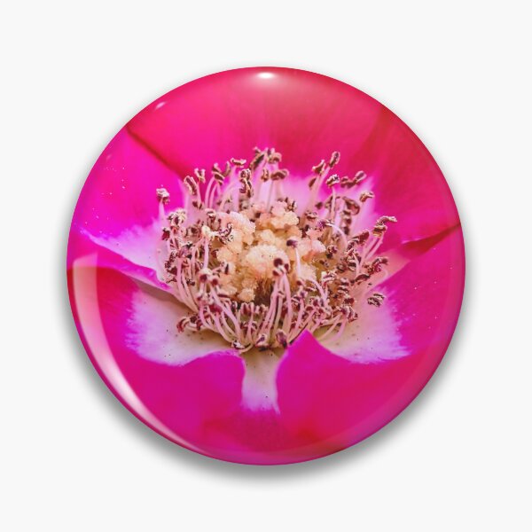 Item preview, Crimson Beauty in Full Bloom designed and sold by Betsy Phillips.